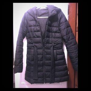 Hollister Winter Coat
